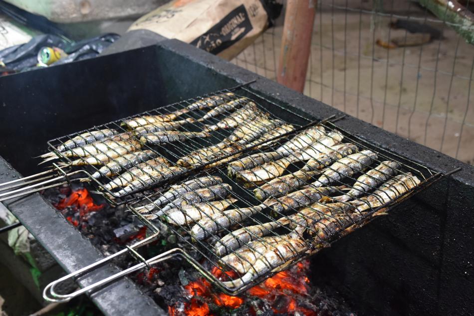 13-edicao-do-festival-da-sardinha-tem-novidades-e-sabores-tradicionais.jpg