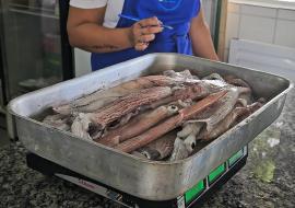 4-edicao-do-festival-da-lula-de-ilhabela-traz-como-novidade-programacao-no-mercado-do-peixe-e-centro-cultural-da-salga.jpeg