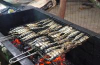 festival-sardinha-ilhabela-3.jpg