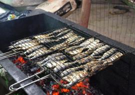 festival-sardinha-ilhabela-3.jpg