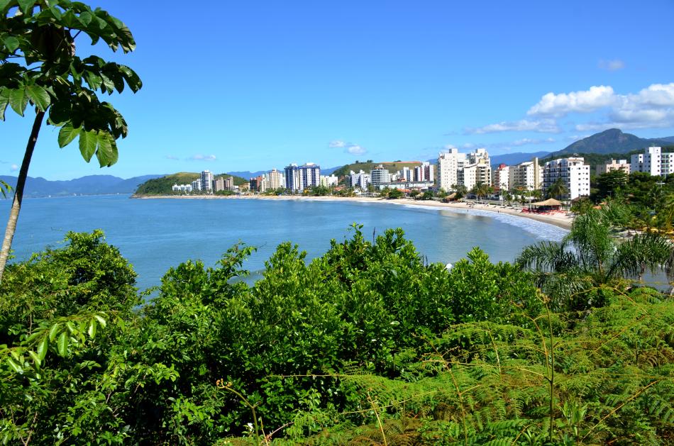 martim-de-sa-jc-curtis-1.jpg